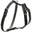 Шлея Collar одинарна для малих та середніх собак (ширина 20мм, А:40-56см, В:57-65см) чорний - мініатюра 1