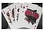 Карти гральні United States Playing Card Company Theory11 Moooi Extinct Animals (limited edition) (ВР_КИТМЕЕ) - мініатюра 4