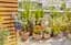 Таймер подачі води Gardena Easy Plus - мініатюра 3