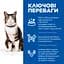 Сухий корм Hill's SP Adult Culinary Creations для дорослих котів, із лососем та морквою, 10 кг - мініатюра 2