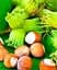 Саженец Agro-Market Фундук Галле (средний срок созревания, перекрестное опыление, сажать по 2 шт) (24610) 1 шт. в упаковке - миниатюра 1