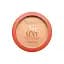 Компактна пудра Bourjois Air Mat, відтінок 03, 10 г (8000017811547) - мініатюра 1