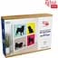Набор картина 3D Rosa Talent 4 Dogs МДФ грунтованное 3 слоя 30х30 см - миниатюра 1