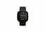 Смарт-годинник Fitbit Sense Carbon/Graphite Stainless Steel (FB512BKBK) - мініатюра 2