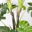 Штучна рослина Engard Monstera 165 см (DW-22) - мініатюра 3