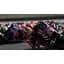 Ключ активации Microsoft MotoGP 24 для Xbox One/Series S/X - миниатюра 2