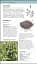 Herbal Remedies Handbook - мініатюра 5