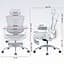 Офісне крісло Sihoo DORO C300L Mesh White with footrest (DORO-C300L-A3-102-JT) - мініатюра 15