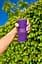 Акустична система JBL Grip Purple (JBLGRIPPUR) - мініатюра 2