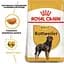 Сухий корм для дорослих собак породи Ротвейлер Royal Canin Rottweiler Adult, з м'ясом птиці, 12 кг (3971120) - мініатюра 5