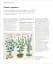 Encyclopedia of Herbal Medicine - мініатюра 5