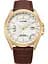 Годинник Citizen CB0253-19A - мініатюра 1