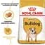 Сухий корм для дорослих собак породи Бульдог Royal Canin Bulldog Adult 12 кг (2590120) - мініатюра 5