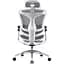 Крісло офісне Sihoo Doro C300 Pro Mesh White (DORO-C300-PRO-M102) - мініатюра 2
