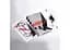 Карты игральные United States Playing Card Companies Ellusionist Views X (limited edition) (PC_ELVX) - миниатюра 2