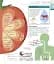 How Food Works: The Facts Visually Explained - мініатюра 9