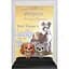 Фігурка Фанко Поп Дісней Funko Pop Disney Lady and the Tramp Леді та Бродяга 10 см FP D LatT 15 - мініатюра 2