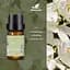 Ефірна олія Kinscoter Essential Oil Set 4 bottles 4х10 мл - мініатюра 4