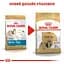 Сухий корм для дорослих собак породи Ши-Тцу Royal Canin Shih Tzu Adult, з м'ясом птиці, 1,5 кг (2200015) - мініатюра 2
