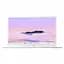 Ноутбук Asus Chromebook Plus CX34 CX3402CBA- MW034 Intel Core I3- 1215U 8 ГБ RAM 14 - мініатюра 2