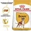 Сухий корм для дорослих собак породи Боксер Royal Canin Boxer Adult, 12 кг (2588120) - мініатюра 5