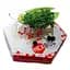 Нано-робот Hexbug Beetle, зелений (477-2865_green) - мініатюра 1