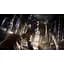 Ключ активации Microsoft Dying Light 2 Stay Human для Xbox One/Series - миниатюра 2