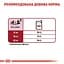 Вологий корм Royal Canin Medium Adult для дорослих собак середніх порід 1.4 кг (10 шт. х 140 г) - мініатюра 6
