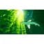Ключ активації Microsoft Abzu для Xbox One/Series - мініатюра 7