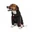 Худі Pet Fashion Snoodie для собак, розмір SM, чорний - мініатюра 5