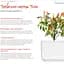 Змінний картридж Click & Grow Smart Garden Перець Чілі, 3 капсули (7311) - мініатюра 4