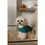 Рубашка Pet Fashion Seaman для собак S - миниатюра 3