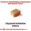 Сухий корм для дорослих собак породи Такса Royal Canin Dachshund Adult, 1,5 кг (3059015) - мініатюра 4