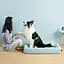Лежак для котів і собак Petkit Four Season Sleep Bed Medium (P7110) - мініатюра 3