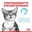 Вологий корм для дорослих котів Royal Canin Sensory Feel Gravy, шматочки в соусі, 85 г - мініатюра 3