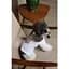 Футболка Pet Fashion Ukraine для собак XХS - миниатюра 7