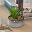 Горщик зі штучною рослиною МВМ My Home, 19 см, сірий (DH-FLOWERS-19 GREEN/GRAY) - мініатюра 4