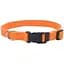 Нашийник для собак Coastal New Earth Soy Dog Collar 2 х 30-45 см соєвий еко - мініатюра 1