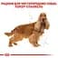 Сухий корм для дорослих собак породи Кокер спаніель Royal Canin Cocker Adult, 3 кг (3969030) - мініатюра 3