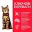 Сухий корм Hill's SP Adult Light для схильних до лишньої ваги дорослих котів з куркою 1.5 кг - мініатюра 2