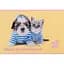 Альбом для малювання Kite Studio Pets SP24-241 12 аркушів Жовтий (4063276214416)(SC) - мініатюра 1