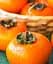 Саджанець Agro-Market Хурма Нікітська бордова на віргінській морозостійкій підщепі 1 шт. в упаковці (21383) - мініатюра 1