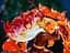 Фігурка Клинок який знищує демонів Кедзюро Ренгоку Demon Slayer Kyojuro Rengoku 18 см KH DS KR - мініатюра 4