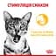 Вологий корм для дорослих котів Royal Canin Taste Jelly, шматочки в желе, 85 г - мініатюра 3