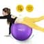 Мяч для фитнеса (фитбол) 4FIZJO 85 см Anti-Burst Violet (P-5905973404846) - миниатюра 7