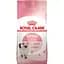 Сухой корм для котят Royal Canin Kitten мясо птицы и рис 1.2 кг - миниатюра 1