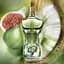 Jean Paul Gaultier Le Beau Paradise Garden парфумована вода 75 ml duplication - мініатюра 3