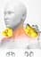 Масажна роликова подушка для шиї, спини та тіла Paradise Sound 501-С з функцією підігріву та музикою - мініатюра 6