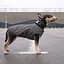 Жилет Pet Fashion E.Vest для собак, розмір XS, сірий - мініатюра 6
