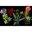 Конструктор LEGO Botanicals Сукуленти 771 деталь (10309) - мініатюра 5